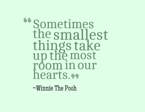 pooh-quote